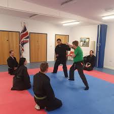Image result for Bujinkan Crawley Dojo