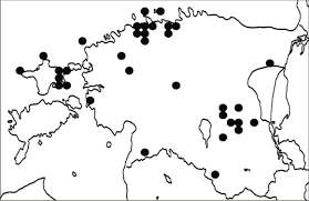 Attēlu rezultāti vaicājumam “Scoliciosporum chlorococcum”