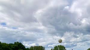 Image result for Didasko Netball Club