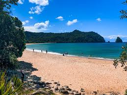 Image result for new chums beach