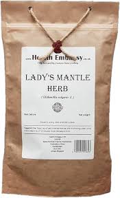 Attēlu rezultāti vaicājumam “Alchemilla vulgaris aggr. bud”