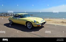 Image result for Turmeric Yellow 1979 Jaguar