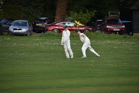 Image result for Capel Cricket Club