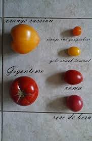 Afbeeldingsresultaat voor oranje van goeienbier tomato
