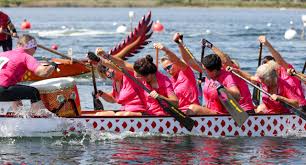 Image result for Wam Dragon Boat Racing Team
