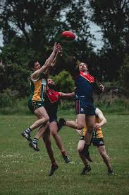 Image result for West London Wildcats