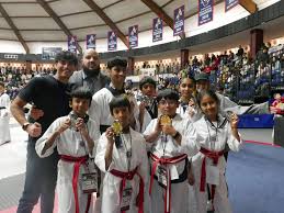Image result for Turners Tae Kwon Do