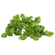 Image result for Basilikum
