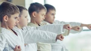 Image result for COURT FIELDS karate Academy