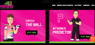 Image result for Wyvern Badminton Club