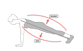 Image result for body midline