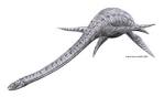 dinosaur illustrations