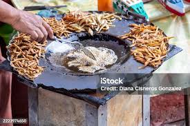 Attēlu rezultāti vaicājumam “Charales”