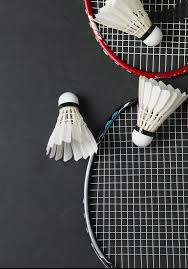 Image result for Langley Rockets Badminton Club