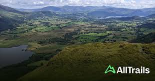 Image result for Go Ape! Whinlatter