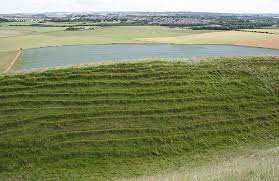 Image result for example