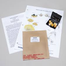 Attēlu rezultāti vaicājumam “Physarum luteolum spores”