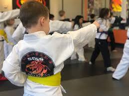 Image result for COURT FIELDS karate Academy