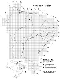 Attēlu rezultāti vaicājumam “Diachea leucopodia stalked”