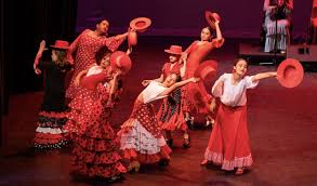 Image result for Flamenco Dance School
