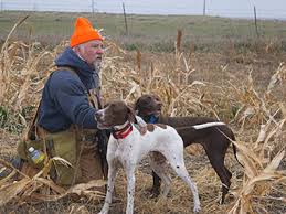 Image result for Pointers