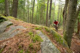 Image result for Tri-Cycle North West