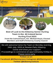 Image result for Kilkenny Bandits