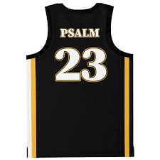 Image result for Teamsheep