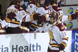 Image result for Ash Avalanche Skater Hockey Club