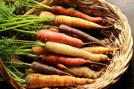 Image result for Möhren