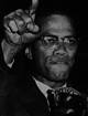 ... KuKlux Klan for his pan-African beliefs and eventually killed by whites. - malcolmx[1]