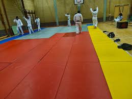 Image result for Southend Judo Club