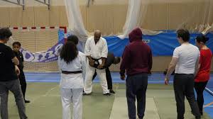 Image result for AikidoFlow
