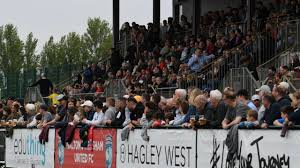 Image result for Walton & Hersham Football Club