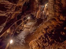 Image result for Venutios Caving Group
