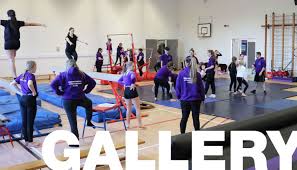 Image result for Brumby Gymnastics Club