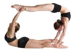 Image result for Elements Acro