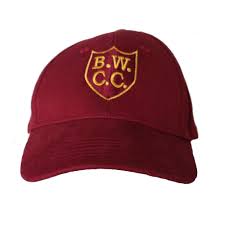 Image result for Ballinger Waggoners Cricket Club