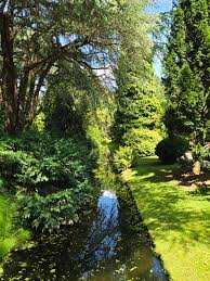 Image result for Arboretum Trompenburg