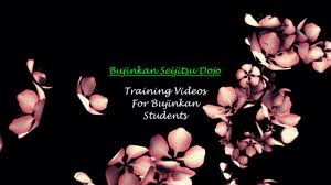 Image result for Bujinkan Dojo Seijitsu