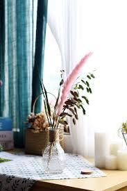 Attēlu rezultāti vaicājumam “Phragmites communis flower”