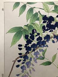 「ススム・フジ」の画像検索結果