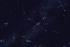 Attēlu rezultāti vaicājumam “Cygnus”