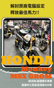 Image result for 全員集合MSX