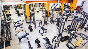 Image result for Gymmagic