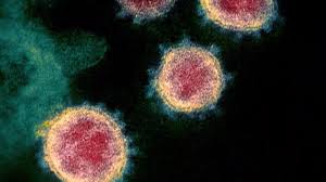 Attēlu rezultāti vaicājumam “pollen corona”