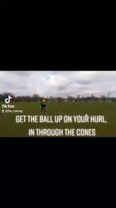 Image result for Sean Treacy`s Hurling Club