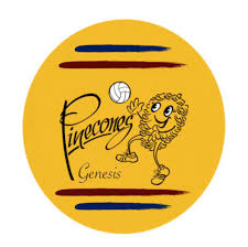 Image result for Genesis Netball Club