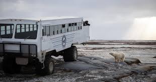 Image result for tundra buggy