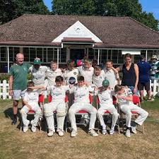 Image result for Lingfield Cricket Club